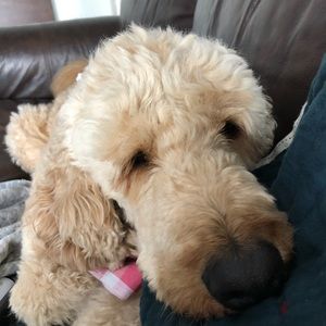 Meet your Posher, Heather